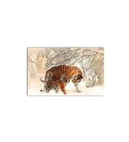 Karlar Içinde Kaplan Ve Yavrusu Tablo - 106761 - 70x70 Cm