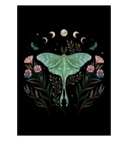 Luna ve Forester Tablo Ahşap Poster Dekoratif