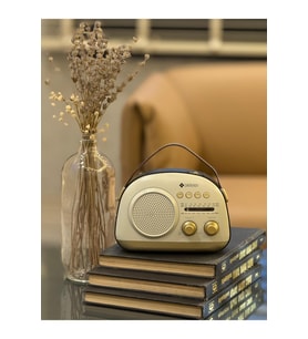 HS-777 Nostaljik ve Dekoratif Radyo (BT+FM+USB+SD)