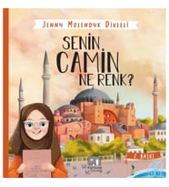 Senin Camin Ne Renk