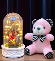 Premium Hediye Seti Led Işıklı Fanus ve Peluş Ayıcık Anahtarlık (Model 4)