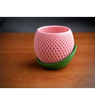 Northcity 3D Baskı Küre Saksı - Kafes Dokulu İki Parçalı Dekoratif Saksı - Pembe-Yeşil
