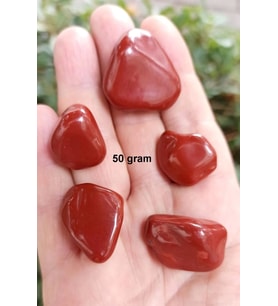50 Gram Kırmızı Jasper Tamburlu Parçalar 402