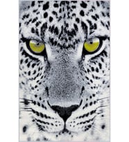 Eliana Home Baskılı, Yıkanabilir Kaymaz Taban Salon Halısı LNA1442 100x150 cm (Gri)