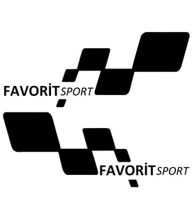 Favorit sport Etiket Yapıştırma 30cmx11cm MMD206