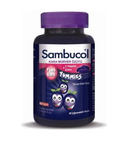 Sambucol Plus Kids Yummies 60 Çiğneme Tableti 8680287030154