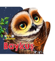 Ben Kimim? - Baykuş