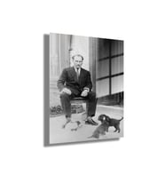 Cam Tablo Atatürk ve Yavru Köpekler