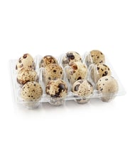 YUMURTA BILDIRCIN  TEKSAS kuluçkalık 24ADET 500GRAM+