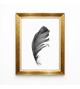 Tablore Minimalist Siyah Kuş Tüyü Tasarımlı Gold Çerçeveli Modern Salon Tablosu