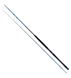 Ryuji Shore Game Fuji 285cm 25-85gr 2 Parça Shore Jig Kamış