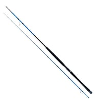 Ryuji Shore Game Fuji 285cm 25-85gr 2 Parça Shore Jig Kamış