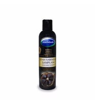 Mecitefendi Siyah Sarımsak Şampuanı 250 ml