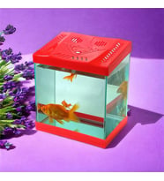 Girist Pet Kırmızı Renk Mini Kare Akvaryum 20x20 cm (Kırmızı-Mınt)