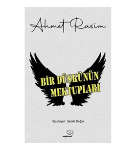 Bir Düşkünün Mektupları