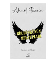 Bir Düşkünün Mektupları