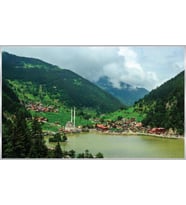 PROWALL POSTER DUVAR KAĞIDI 1064 8 PARÇA (3.68mt X 2.54mt)