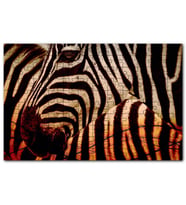 Cakapuzzle Günbatımında Zebra Desenleri Yakın Çekim Puzzle Yapboz MDF (Ahşap) (120 Parça)