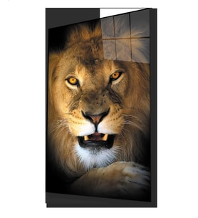 Aslan 15 Hayvan Cam Tablo