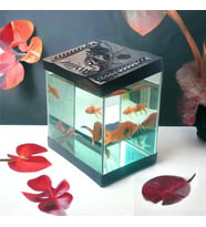 Girist Pet Siyah Renk Mini Kare Akvaryum 20x20 cm (Siyah-Siyah)