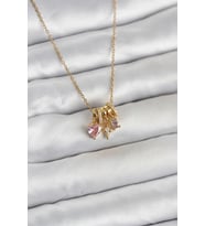 316L Çelik Gold Pembe Zirkon Taşlı Charmlı Kadın Kolye