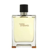 Hermes Terre D'Hermes EDT 200 ml Erkek Parfümü