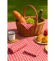 Lexroo 5li Piknik Seti, Piknik Masa Örtüsü 145x145cm ve 4 Piknik Peçetesi 36x36cm
