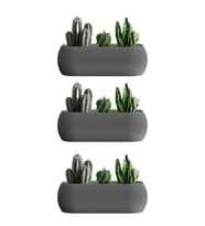 Omnipazar KRS-372 Dekoratif Plastik Mercan Uzun Saksı 1.3 Litre 3'lü Set