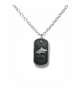 Bozkurt Figürlü Göktürkçe Türk Yazılı Künye Kolye – Gümüş Renk Unisex Metal Takı