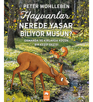 Hayvanlar Nerede Yaşar Biliyor Musun?