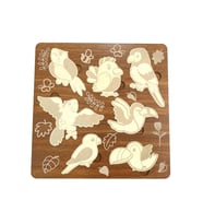 Birinci Sınıf Ahşap Eğitici Öğretici Kanatlı Hayvanlar Çocuk Puzzle (Yapboz)