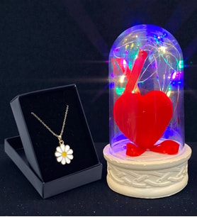 Renkli Led Işıklı Tasarım Fanus ve Tasarım Kolye Hediye Seti (Model 4)