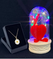 Renkli Led Işıklı Tasarım Fanus ve Tasarım Kolye Hediye Seti (Model 4)