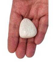 Skolite - Scolecite Tamburlu Parça 119-2