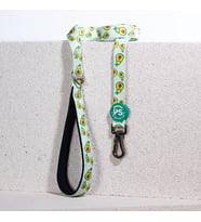 Leash Kedi Köpek Sevk & Gezdirme Kayışı Köpek Uzatma Tasması