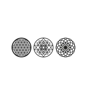 Yaşam Çiçegi Torus Ve Sri Yantra (Ceviz)