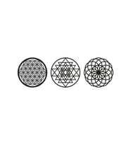 Yaşam Çiçegi Torus Ve Sri Yantra (Ceviz)