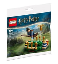 LEGO Harry Potter 30651 Quidditch™ Antrenmanı Polybag (55 Parça) (Çok Renkli)