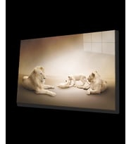  Aslan Hayvan Cam Tablo 4mm Dayanıklı Temperli Cam