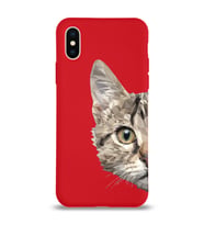 Apple iPhone XS Max Uyumlu Lansman Kılıf Catface Tasarımlı Altı Kapalı İçi Kadife Kaplı  Kapak (Şeffaf)