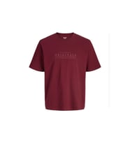 Jack & Jones Jorcatskills Erkek Tişört (Bordo)