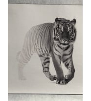 20X20 CM 3 D ÜTÜ İLE YAPIŞAN ASLAN APLİKE BASKI TİŞÖRT BASKI ARMA DİKİŞ HOBİ