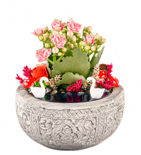 Kayıp Hazineler Serisi Pembe Kalanchoe Teraryum