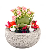 Kayıp Hazineler Serisi Pembe Kalanchoe Teraryum