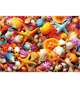 Educa 20246 Puzzle - 1000 Parça Deniz Kabuğu Kolajı Yapboz - Shell Collage