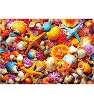 Educa 20246 Puzzle - 1000 Parça Deniz Kabuğu Kolajı Yapboz - Shell Collage