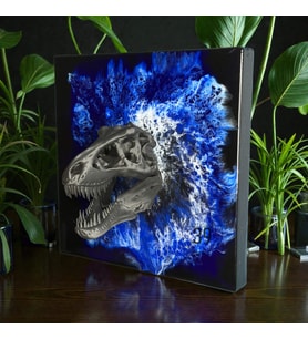 3D T-Rex Kafatası Mavi Epoksi Duvar Tablosu, El Yapımı Heykelsi Sanat Eseri, 35x35 cm, Modern & Statement Tasarım (Mavi - Siyah - Beyaz)