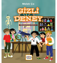Gizli Deney
