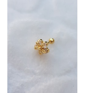 Tragus Küpe Piercing Çelik
