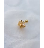 Tragus Küpe Piercing Çelik